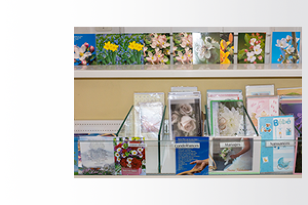 DES CARTES POSTALES BIBLIQUES POUR TOUTES OCCASIONS